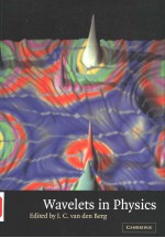 WAVELETS <em>IN</em> PHYSICS