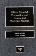 SILICON MATERIAL PREPARATION AND ECONOMICAL WAFERING <em>METHODS</em>