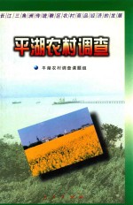 <em>平湖</em>农村调查