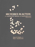 MICROBES <em>IN</em> ACTION A <em>LABORATORY</em> <em><em>MAN</em>UAL</em> <em>OF</em> MICROBIOLOGY THIRD <em>EDITION</em>