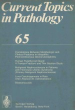 CURRENT TOPICS <em>IN</em> PATHOLOGY ERGEBNISSE DER PATHOLOGIE <em>VOLUME</em> 65