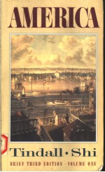 <em>A</em>MER<em>I</em>C<em>A</em> <em>A</em> N<em>A</em>RR<em>A</em>T<em>I</em>VE <em>H<em>I</em>STORY</em>  <em>VOLUME</em> 1