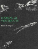 LOOKING AT VERTEBRATES A PRACITICAL <em>GUIDE</em> TO VERTEBRATE ADAPTATIONS
