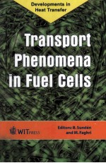 Transport Pheno<em>m</em>ena in Fuel Cells