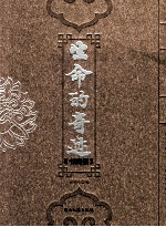 生命的奇迹  3  书画集