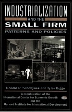 INDUSTRIALIZATION <em>AND</em> THE SMALL FIRM PATTERNS <em>AND</em> POLICIES