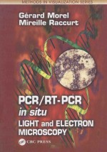 PCR RT PCR IN SITU LIGHT AND ELECTRON <em>M</em>ICROSCOPY