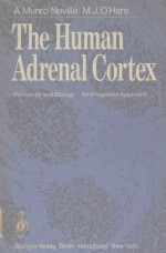 THE HUM<em>AN</em> ADRENAL CORTEX PATHOLOGY <em><em>AN</em>D</em> BIOLOGY <em>AN</em> INTEGRATED <em>APPROACH</em>