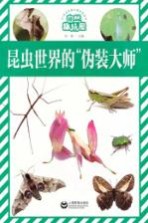 自然趣玩屋  昆虫世界的伪装大师