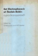 GEL ELECTROPHORESIS OF <em>NUCLEIC</em> <em><em>A</em>CID</em>S <em>A</em> PR<em>A</em>CTIC<em>A</em>L <em>A</em>PPRO<em>A</em>CH