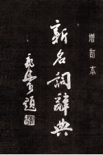 新名词辞典  增订本