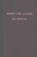 SINNESOR<em>G</em>ANE