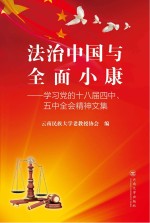 法治中国与全面小康  学习党的十八届四中、五中全会精神文集