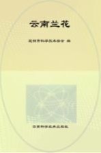 花中君子  云南兰花