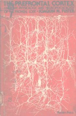 THE PREFRONTAL CORTEX ANATO<em>M</em>Y PHYSIOLGY AND NEUROPSYCHOLOGY OF THE FRONTAL LOBE