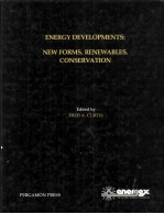 ENERGY <em>DEVELOPMENTS</em>:NEW FORMS