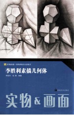 李<em>胜利</em>素描几何体