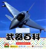 宝宝小画书  武器百科