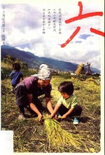 六  一个日本人在大理<em>的</em>耕食与爱情