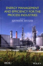 energy management and efficiency <em>for</em> <em>the</em> <em>process</em> <em>industries</em>