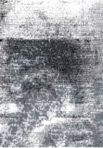 Preservation and Transplantation <em>of</em> Normal Tissues