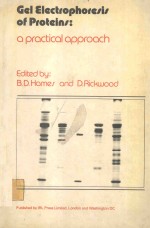 GEL ELECTROPHORESIS OF <em>NUCLEIC</em> <em><em>A</em>CID</em>S <em>A</em> P<em>A</em>R<em>A</em>CTIC<em>A</em>L <em>A</em>PPRO<em>A</em>CH