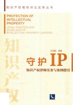守护<em>IP</em>  知识产权律师实务<em>与</em>案例指引