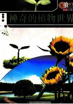 神奇的植物<em>世界</em>  彩色<em>插</em><em>图版</em>