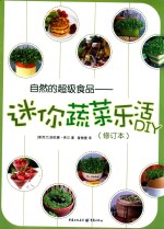 自然的超级食品  迷你蔬菜乐语DIY