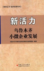 新活力  乌鲁木齐小微企业发展