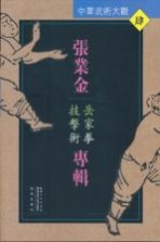 中华武术大观  <em>张业</em>金专辑  岳家拳技击术