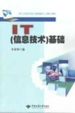 <em>IT</em>（信息技术）基础