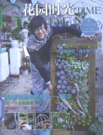 花园时光  多肉植物  1