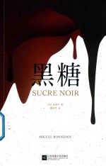 黑糖  每一页都有故事发生的魔幻现实主义史诗