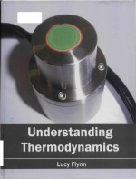 understanding <em>thermodynamics</em>