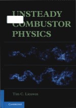 unsteady combustor <em>physics</em>