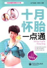 十月怀胎一点通  双色