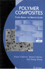 POLYMER COMPOSITES From Nano-to <em>Macro</em>-Scale