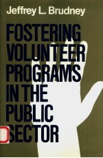 FOSTER<em>IN</em>G VOLUNTEER PROGRAMS <em>IN</em> THE PUBLIC SECTOR:PLANN<em>IN</em>G