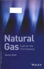 natural gas fuel <em>for</em> <em>the</em> 21st century