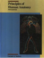 PRINCIPLES <em>OF</em> HUMAN ANATOMY  FIFTH <em>EDITION</em>