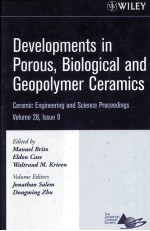 <em>Developments</em> in Porous