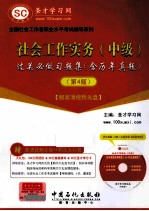 社会工作实务（中级）过关必做习题集  含历年真题  4版