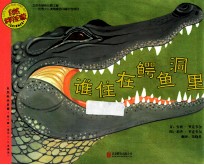 自然科学启蒙  谁住在鳄鱼洞里