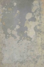 THE MANAGEMENT <em>OF</em> ABDOM<em>IN</em>AL OPERATIONS <em>VOLUME</em> II