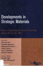 <em>Developments</em> in Strategic Materials