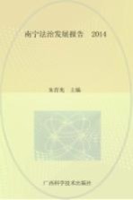 南宁法治发展报告