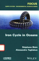THE BIOGEOCHEMICAL CYCLE O<em>F</em> SILICON IN THE OCEAN