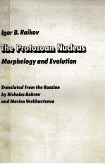 THE PROTOZOAN NU<em>C</em>LEUS MORPHOLOGY AND EVOLUTION