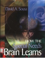 HO<em>W </em>THE SPECIAL NEEDS BRAING LEARNS